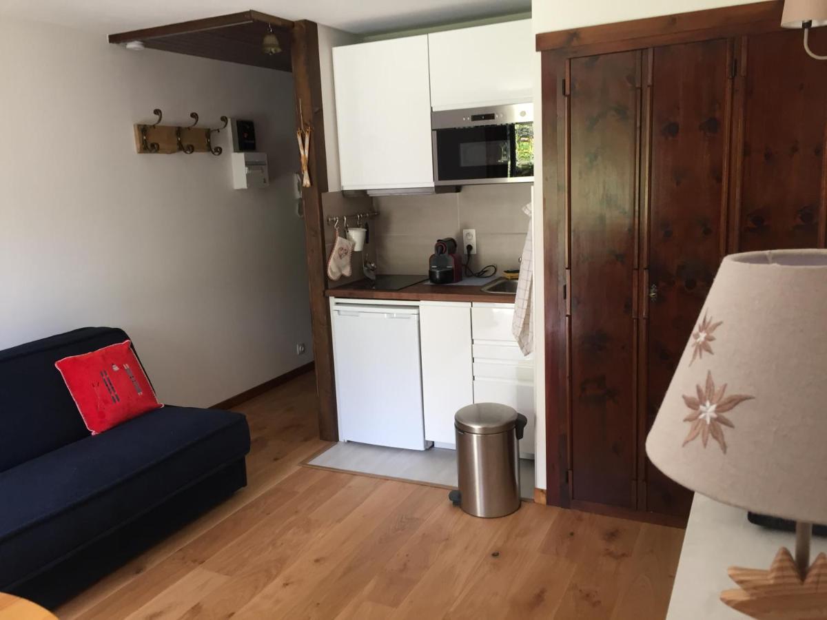 Studio Au Calme Avec Jardin Et Vue Mont-Blanc Chamonix Eksteriør billede