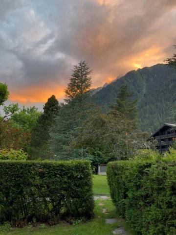 Studio Au Calme Avec Jardin Et Vue Mont-Blanc Chamonix Eksteriør billede