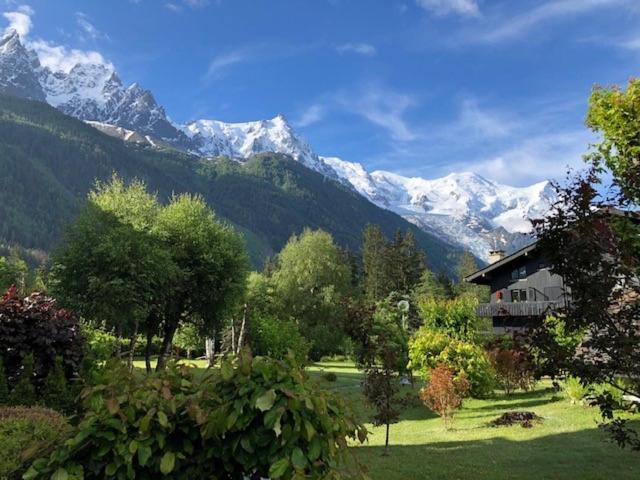 Studio Au Calme Avec Jardin Et Vue Mont-Blanc Chamonix Eksteriør billede
